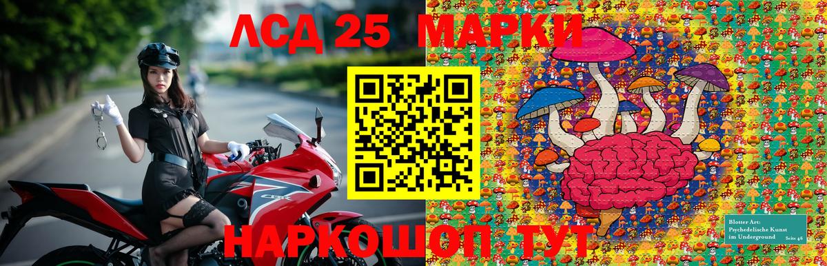 Волгоград  Наркотические марки  Вход с VPN  Наркотические марки 1,5мг  что такое наркотик  Наркотические марки 1,5мг 