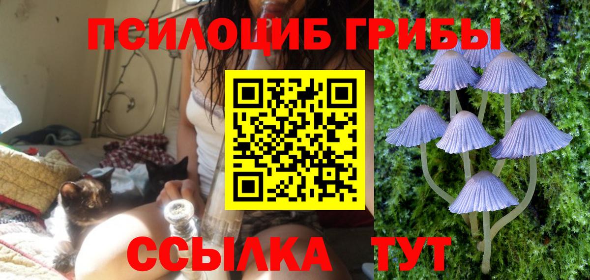 Галлюциногенные грибы Cubensis Волгоград