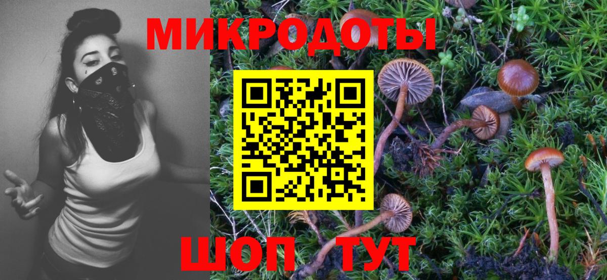 Псилоцибиновые грибы прущие грибы  Вход с VPN  Волгоград 